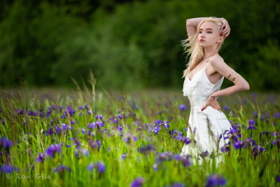 iris_field_5327_.jpg