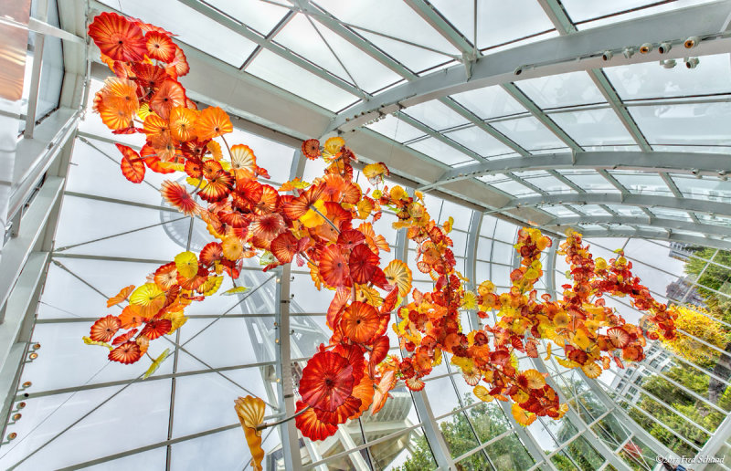 Chihuly Glass 1