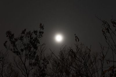 A cloudy Pre-Super Moon rise