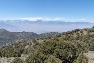 Sierra View Overlook from White Mountain Road