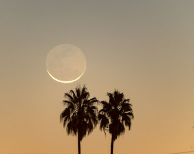 Waning Crescent Moon Rising