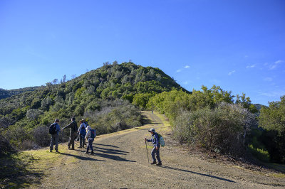 New Years Day Hike