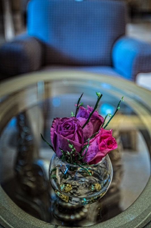 170317 Emirates Palace Hotel L2000 - 137.jpg