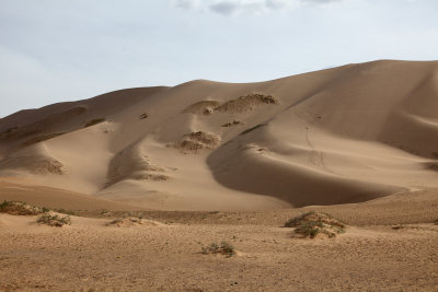 Les dunes de Khongor