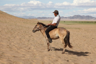 Premire monte de ce cheval sauvage