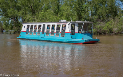 Atchafalaya Swamp