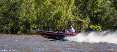 Atchafalaya Swamp