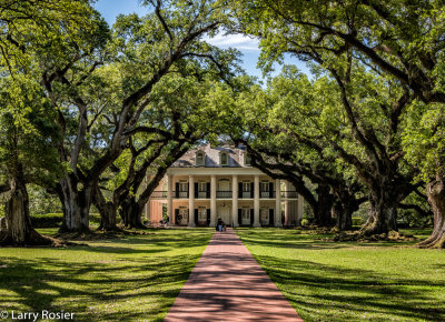 Oak Alley