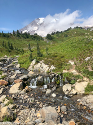 Mount Rainier From Skyline Trail