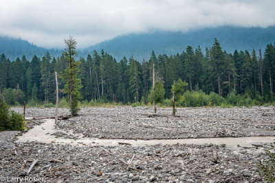 Nisqually River