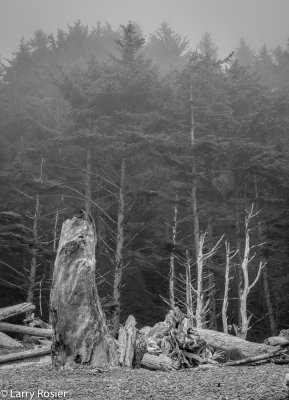 Rialto Beach