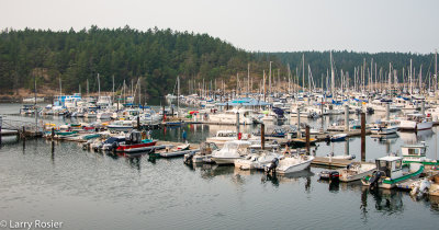 Friday Harbor