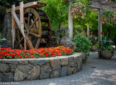 Butchart Gardens