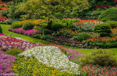 Butchart Gardens