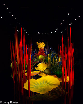 Chihuly Glass