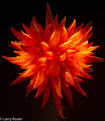Chihuly Glass