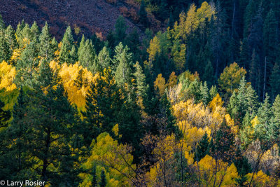 From Hwy 550 South of Ouray, CO