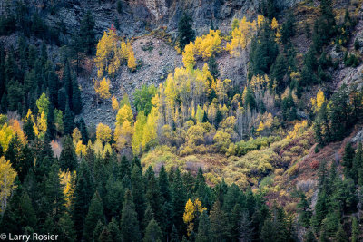 From Hwy 550 South of Ouray, CO