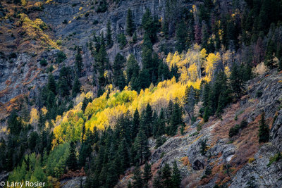 From Hwy 550 South of Ouray, CO