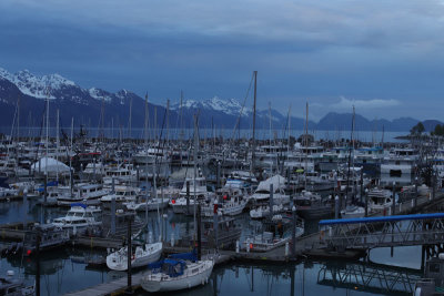 IMG_4496.jpg