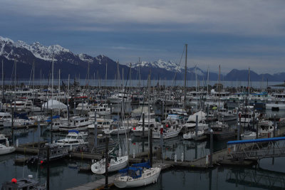 IMG_4503.jpg