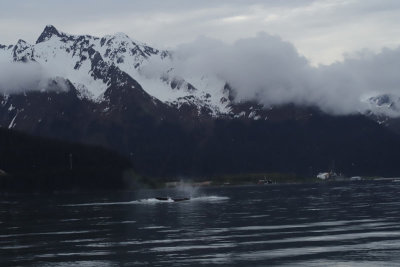 IMG_4700.jpg