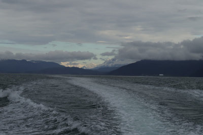 IMG_4814.jpg