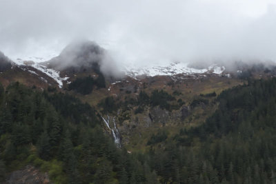 IMG_4831.jpg