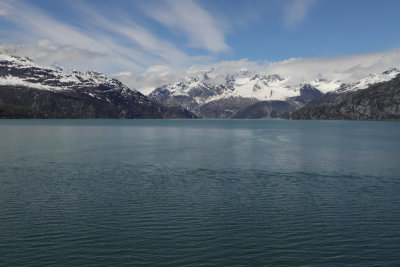 IMG_5203.jpg