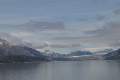 IMG_5220.jpg