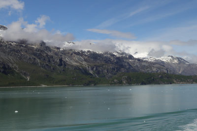 IMG_5225.jpg