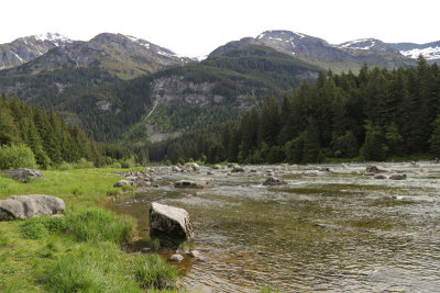 IMG_5490.jpg