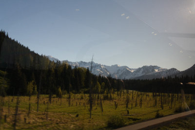 IMG_7851.jpg
