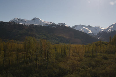 IMG_7881.jpg