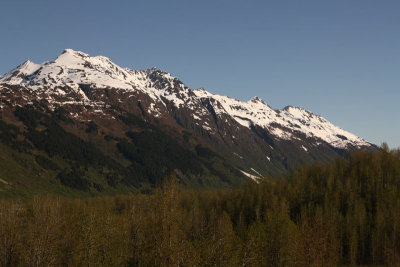 IMG_7886.jpg