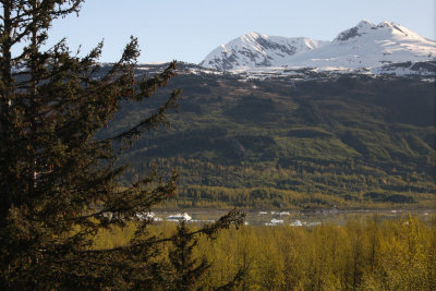 IMG_7887.jpg