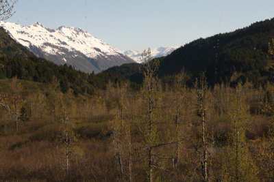 IMG_7899.jpg