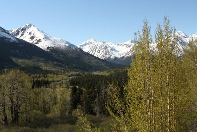 IMG_7918.jpg