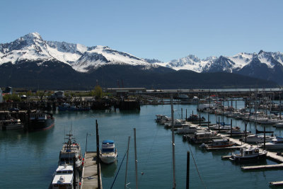 IMG_7955.jpg