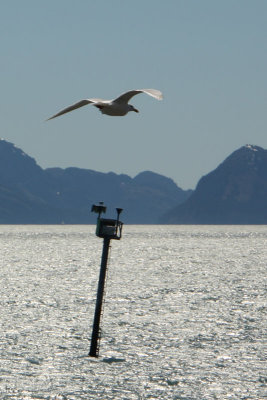 IMG_7977.jpg