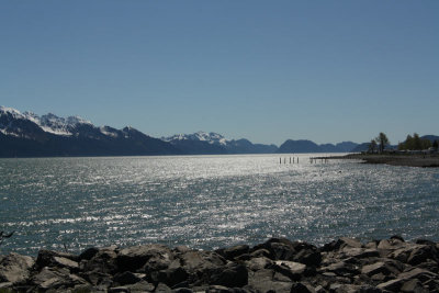 IMG_7981.jpg