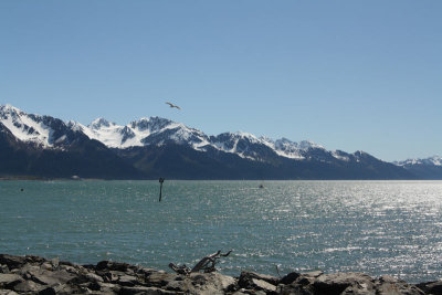 IMG_7982.jpg