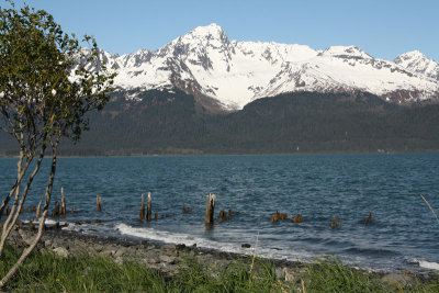 IMG_8021.jpg