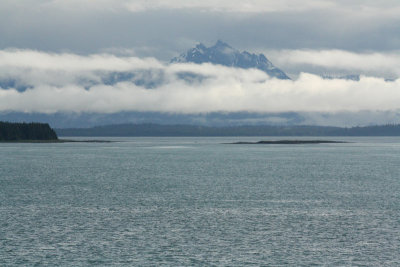IMG_8201.jpg
