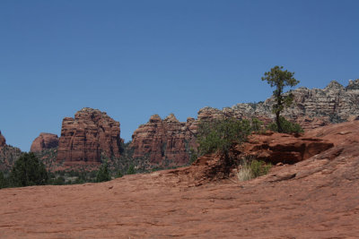 2014