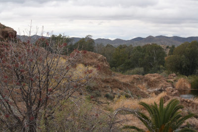 Winter 2013