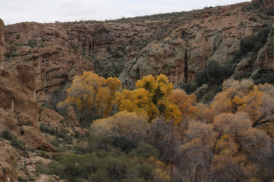 Winter 2013