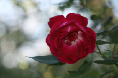 Spring 2014