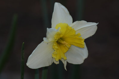 Spring 2014