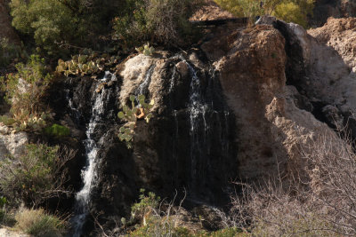Spring 2014